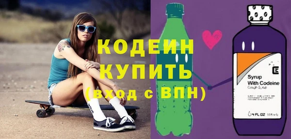 индика Заволжье