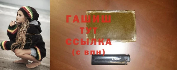 индика Заволжье