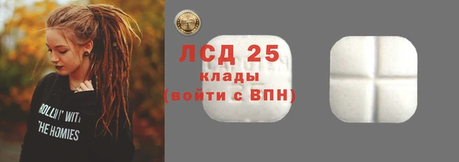индика Заволжье