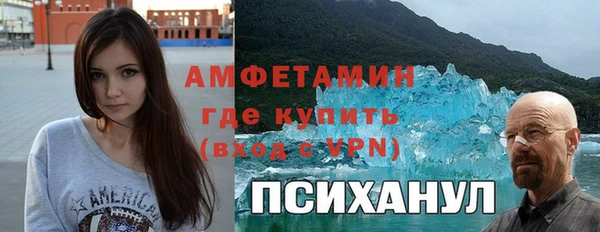 индика Заволжье